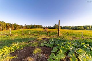 Photo 47: 671 Dufferin Road in Sundridge: 108-Rural Pictou County Farm for sale (Northern Region)  : MLS®# 202303855