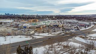 Photo 47: 5728 Dalmead Crescent NW in Calgary: Dalhousie Detached for sale : MLS®# A2013340