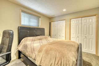 Photo 44: 201 Cranwell Crescent SE in Calgary: Cranston Detached for sale : MLS®# A1113188
