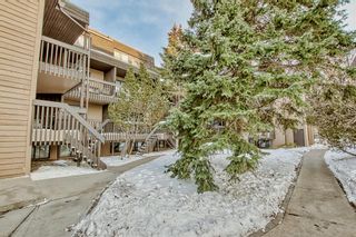 Photo 38: 28 3519 49 Street NW in Calgary: Varsity Apartment for sale : MLS®# A2011852