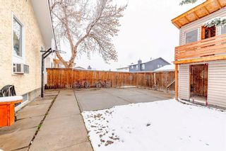 Photo 37: 4720 60 Street NE in Calgary: Temple Detached for sale : MLS®# A2123494