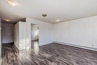 Photo 5: 301 1612 14 Avenue SW in Calgary: Sunalta Apartment for sale : MLS®# A2096686