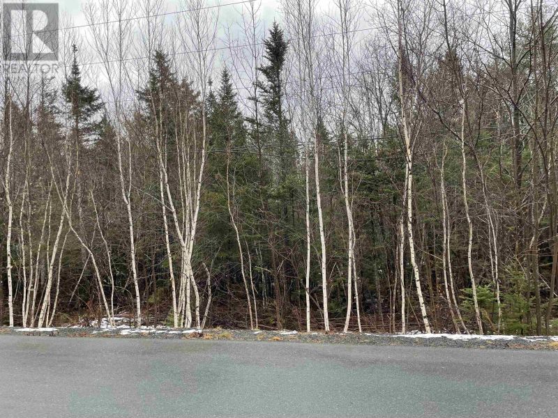 FEATURED LISTING: Lot John Arnold Avenue|PID 60463437 Lower Branch