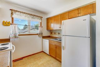 Photo 10: 520 Thornhill Drive NW in Calgary: Thorncliffe Detached for sale : MLS®# A1252559