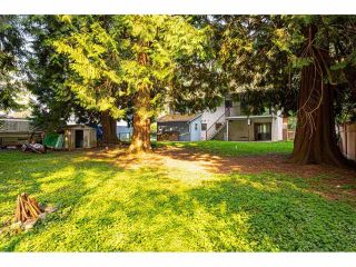 Photo 6: 3625 208 Street in langley: Brookswood Langley House for sale (Langley)  : MLS®# R2496320