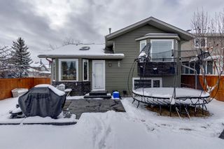 Photo 44: 112 Sunlake Circle SE in Calgary: Sundance Detached for sale : MLS®# A1182136