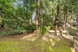Photo 8: 5677 EAGLE HARBOUR Road in West Vancouver: Eagle Harbour House for sale : MLS®# R2857764