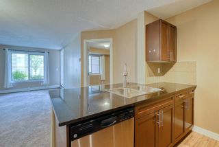 Photo 21: 1110 1317 27 Street SE in Calgary: Albert Park/Radisson Heights Apartment for sale : MLS®# A2051120
