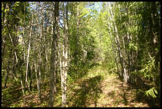Photo 17: 21 6500 Southwest 15 Avenue in Salmon Arm: Panorama Ranch Vacant Land for sale : MLS®# 10230290