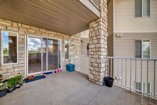 Photo 16: 2207 2600 66 Street NE in Calgary: Pineridge Apartment for sale : MLS®# A2145020