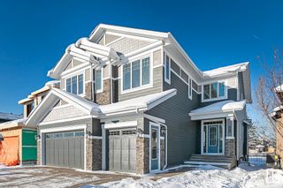 Photo 1: 5616 CAUTLEY Cove in Edmonton: Zone 55 House for sale : MLS®# E4314938