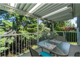 Photo 16: 3728 SQUAMISH CRESCENT in Abbotsford: Central Abbotsford House for sale : MLS®# R2460054