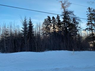 Photo 6: Lot 1 Powell Road in Little Harbour: 108-Rural Pictou County Vacant Land for sale (Northern Region)  : MLS®# 202201581