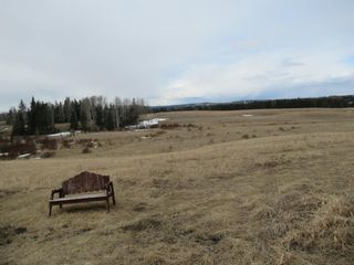 Photo 17: 33146 Range Road 62: Rural Mountain View County Detached for sale : MLS®# A1201666