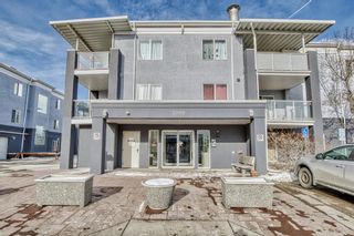 Photo 3: 2210 2280 68 Street NE in Calgary: Monterey Park Apartment for sale : MLS®# A2023196