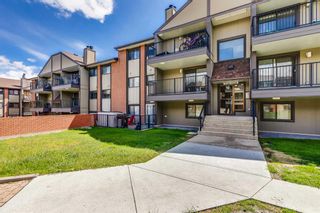 Photo 2: 2206 13045 6 Street SW in Calgary: Canyon Meadows Apartment for sale : MLS®# A2134638