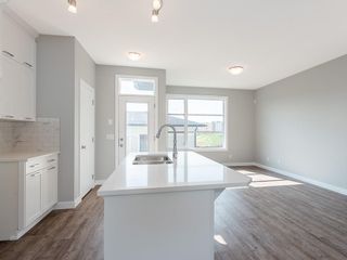 Photo 3: 48 SKYVIEW Circle NE in Calgary: Skyview Ranch Row/Townhouse for sale : MLS®# C4201044