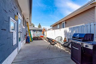 Photo 34: 4008 Doverview Drive SE in Calgary: Dover Detached for sale : MLS®# A2124333
