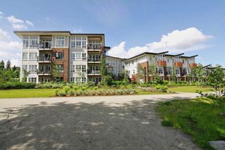 Photo 18: 210 23215 BILLY BROWN Road in Langley: Fort Langley Condo for sale in "Waterfront at Bedford Landing - 45+" : MLS®# R2395039
