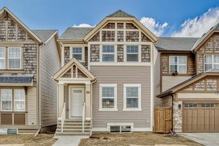 Photo 1: 80 Skyview Point Crescent NE in Calgary: Skyview Ranch Detached for sale : MLS®# A2041402