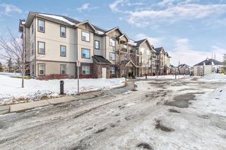 Photo 1: 211 37 Prestwick Drive SE in Calgary: McKenzie Towne Apartment for sale : MLS®# A1055114