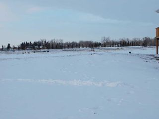 Photo 3: 6814 50 Avenue: Camrose Residential Land for sale : MLS®# A2111761