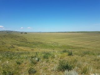 Photo 6: 1,360 Acres Willow Bunch (Beck & Thompson) in Willow Bunch: Farm for sale (Willow Bunch Rm No. 42)  : MLS®# SK923344