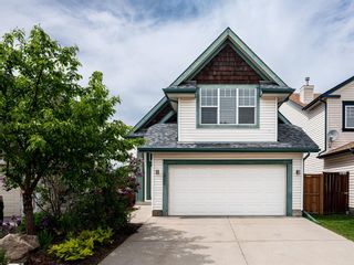 Main Photo: 255 Copperfield Manor SE in Calgary: Copperfield Detached for sale : MLS®# A2053429
