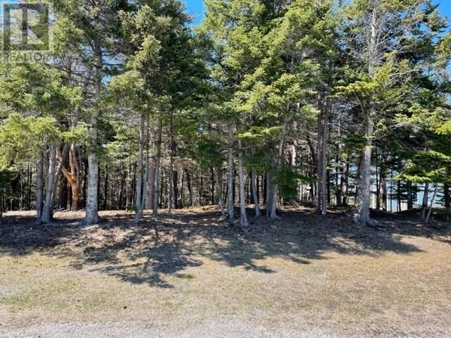 Main Photo: 59 Seal Cove Road in Stephenville Crossing: Vacant Land for sale : MLS®# 1250557