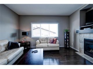 Photo 22: 151 COPPERPOND Square SE in Calgary: Copperfield House for sale : MLS®# C4074409