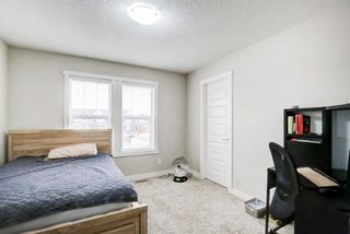 Photo 38: 33 Williamstown Park NW: Airdrie Detached for sale : MLS®# A1056206