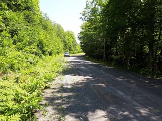 Photo 10: Meiklefield Road in Meiklefield: 108-Rural Pictou County Vacant Land for sale (Northern Region)  : MLS®# 202117504