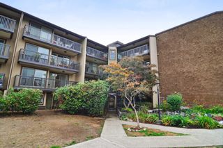 Photo 1: 216 9847 MANCHESTER Drive in Burnaby: Cariboo Condo for sale (Burnaby North)  : MLS®# R2209560