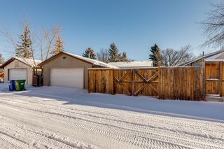 Photo 28: 115 Templeton Circle NE in Calgary: Temple Detached for sale : MLS®# A2011227