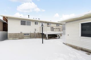 Photo 28: 2428 38 Street NE in Calgary: Rundle Detached for sale : MLS®# A2022867
