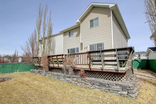 Photo 40: 78 Royal Elm Way NW in Calgary: Royal Oak Detached for sale : MLS®# A1208299