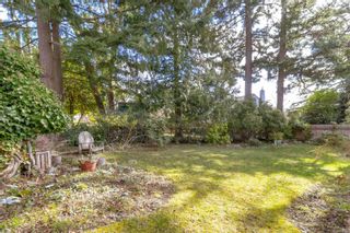 Photo 36: 3941 Cumberland Rd in Saanich: SE Maplewood House for sale (Saanich East)  : MLS®# 926743