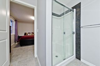 Photo 9: 169 SKYVIEW RANCH DR NE in Calgary: Skyview Ranch House for sale : MLS®# C4278111