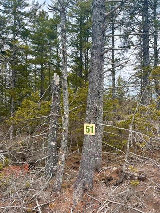 Photo 3: Lot 51 Meek Arm Trail in East Uniacke: 105-East Hants/Colchester West Vacant Land for sale (Halifax-Dartmouth)  : MLS®# 202305547
