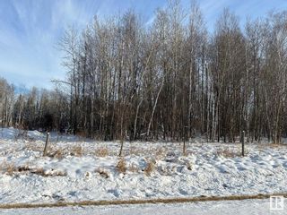 Photo 4: RR 222 Twp Rd 584: Rural Thorhild County Vacant Lot/Land for sale : MLS®# E4370854