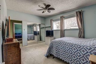 Photo 20: 9435 Allison Drive SE in Calgary: Acadia Detached for sale : MLS®# A1074577