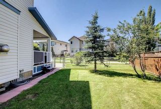 Photo 44: 133 Westchester Way: Chestermere Detached for sale : MLS®# A2028859