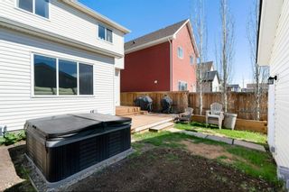 Photo 42: 210 Copperpond Boulevard SE in Calgary: Copperfield Detached for sale : MLS®# A1217839