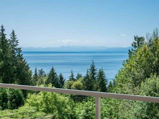 Photo 3: 377 HARRY Road in Gibsons: Gibsons & Area House for sale (Sunshine Coast)  : MLS®# R2480718