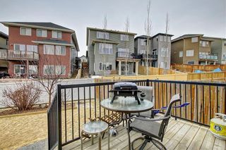 Photo 36: 135 EVANSPARK Terrace NW in Calgary: Evanston Detached for sale : MLS®# C4293070