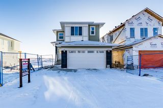 Photo 41: 163 Chelsea Grove: Chestermere Detached for sale : MLS®# A2015586