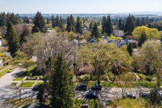 Photo 8: 3218 W 38TH Avenue in Vancouver: Kerrisdale House for sale (Vancouver West)  : MLS®# R2875825