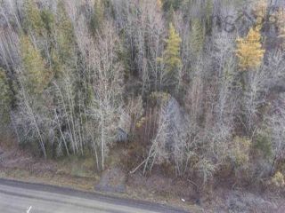 Photo 4: 1582 Black River Road in Black River Lake: Kings County Vacant Land for sale (Annapolis Valley)  : MLS®# 202321722