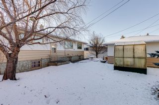 Photo 23: 14 Cornell Road NW in Calgary: Cambrian Heights Detached for sale : MLS®# A2012548