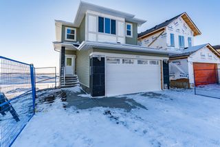 Photo 1: 163 Chelsea Grove: Chestermere Detached for sale : MLS®# A2015586
